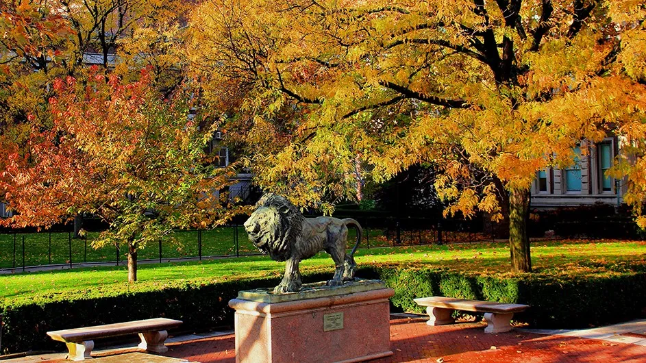 Lion sculpture surrounded by trees in autumn on Columbia's Morningside campus.