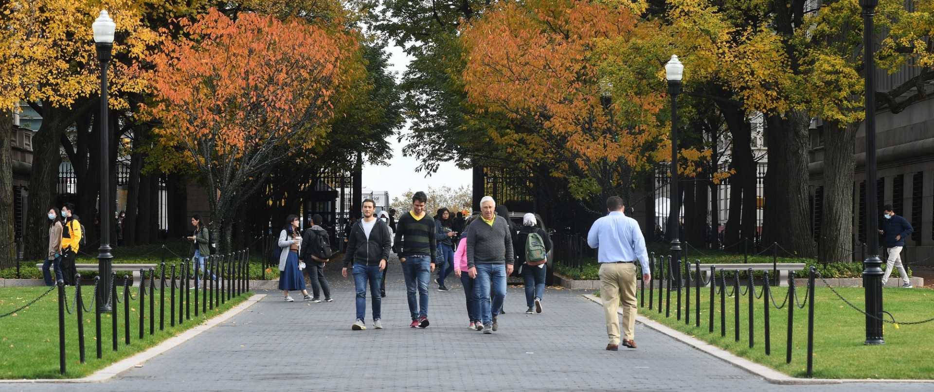 College Walk Fall Folliage